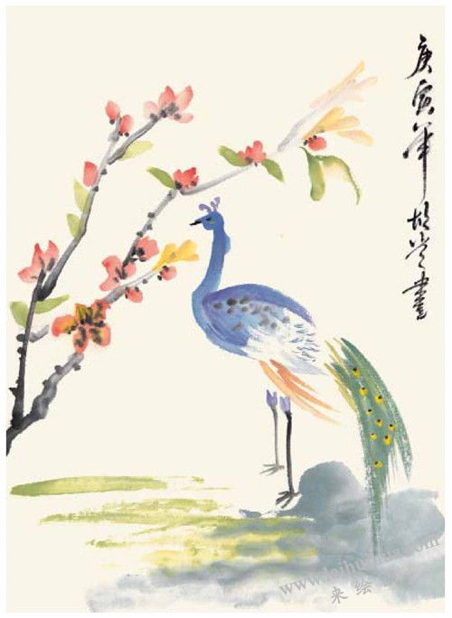 孔雀的國(guó)畫畫法 步驟四