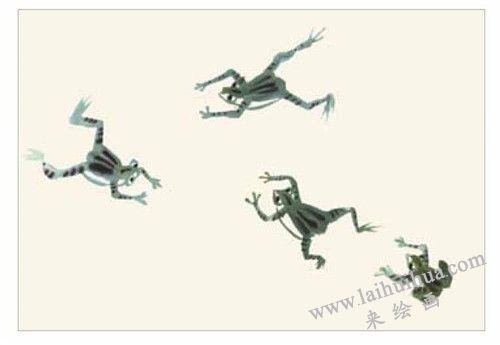 青蛙和蝌蚪的國畫畫法  步驟二