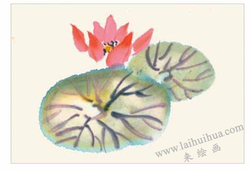荷塘荷花的國(guó)畫(huà)畫(huà)法  步驟二