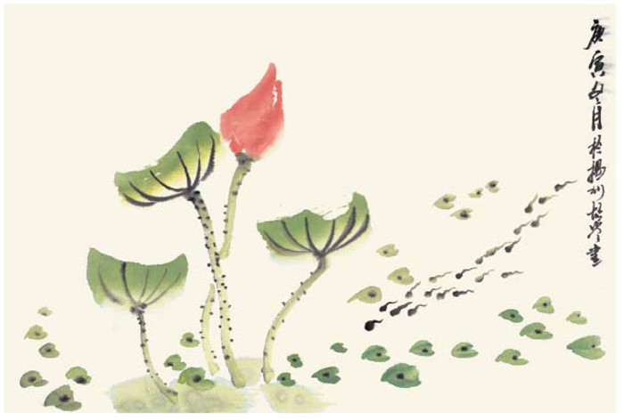 小蝌蚪的國畫畫法