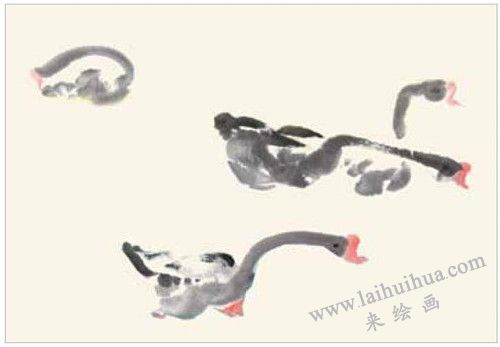 自在的天鵝國畫畫法  步驟三