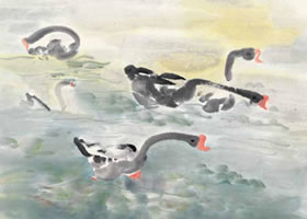 自在的天鵝國畫畫法