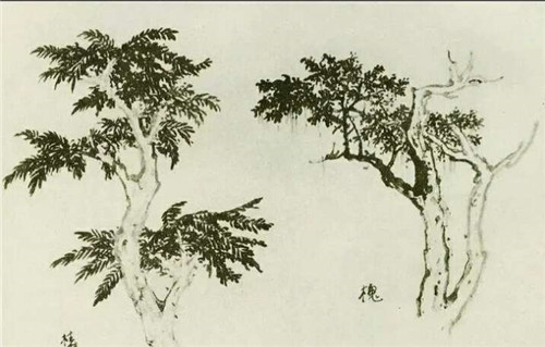 椿樹的國畫畫法