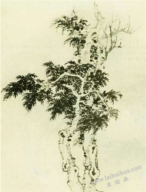 椿樹的國畫畫法
