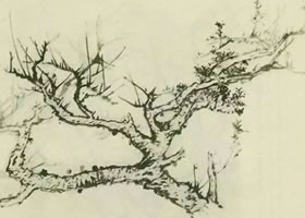 梧桐的國畫畫法