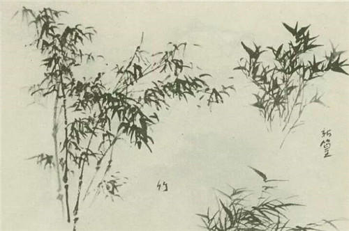 竹子的畫法