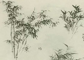 竹子的畫法