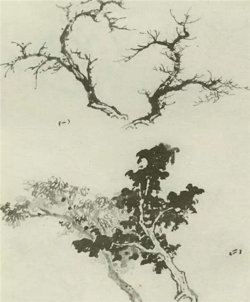 兩棵樹的畫法