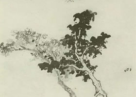 兩棵樹的畫法