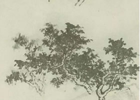 三顆樹的國(guó)畫畫法