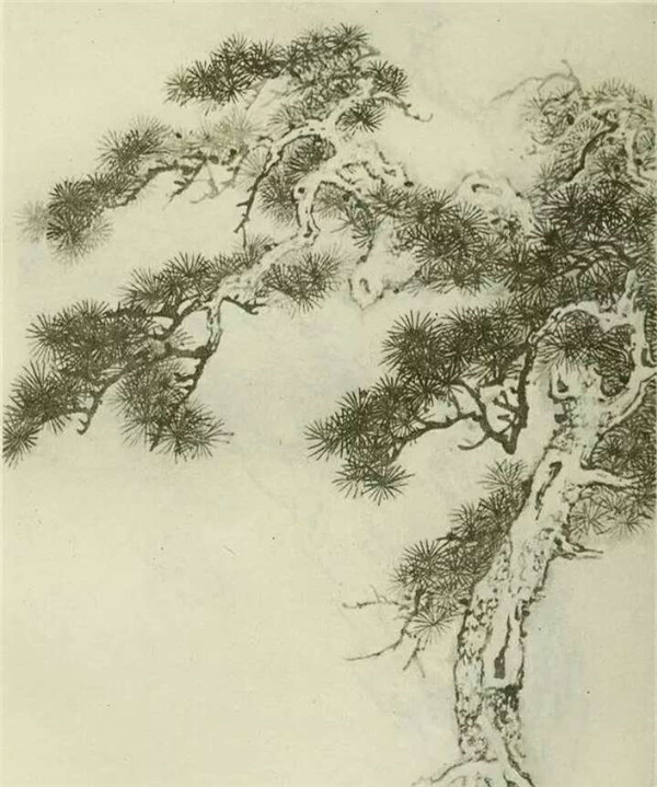 松樹的畫法