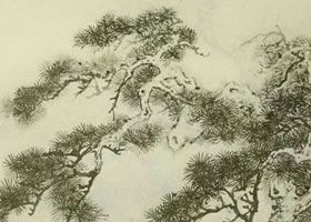 松樹的畫法