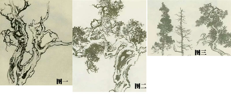 柏樹的畫法