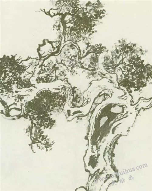 柏樹的畫法 圖二
