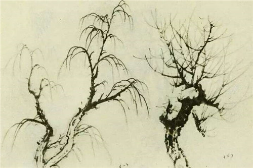 柳樹(shù)的畫(huà)法