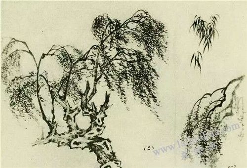 柳樹(shù)的畫(huà)法