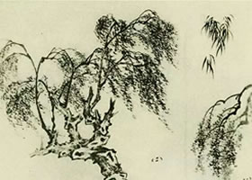 柳樹的畫法