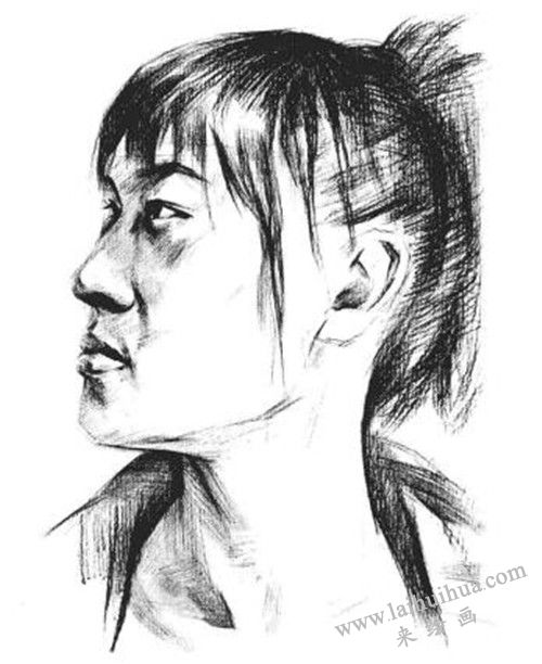 素描二分之一側(cè)面順光女青年肖像畫法步驟 四