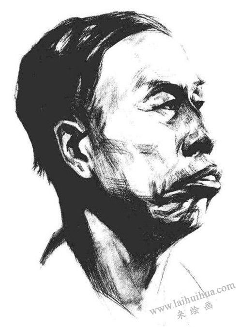 素描老年男子肖像  步驟五