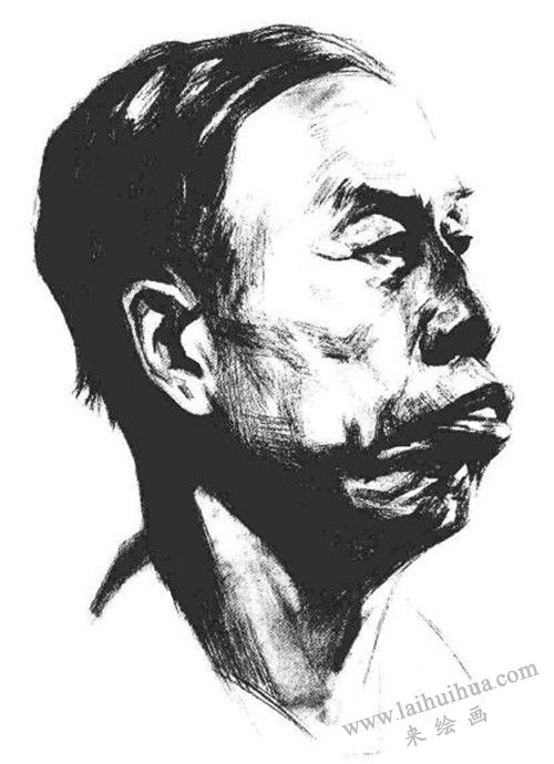 素描老年男子肖像  步驟六