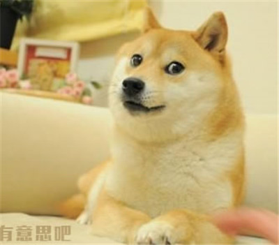 Doge簡筆畫