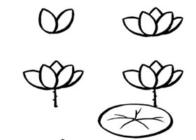 荷花簡(jiǎn)筆畫