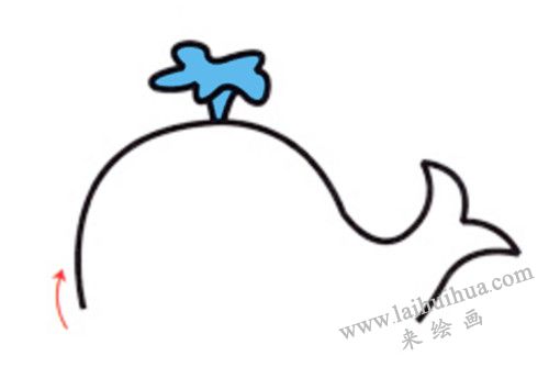 小鯨魚簡筆畫畫法步驟 03