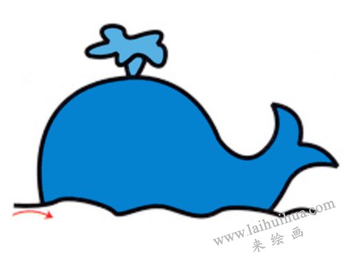 小鯨魚簡筆畫畫法步驟 04