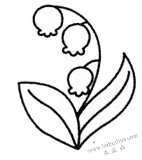 鈴蘭簡筆畫畫法步驟  05