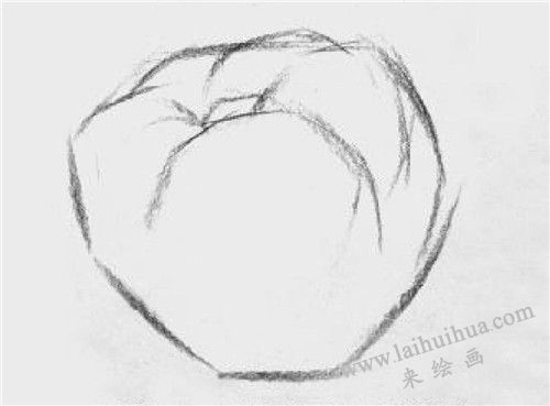 西紅柿素描畫法步驟 二