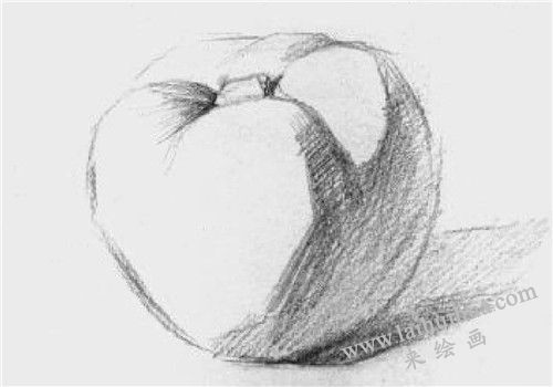 西紅柿素描畫法步驟 三