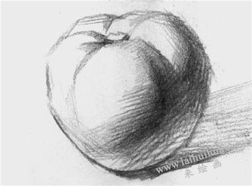 西紅柿素描畫法步驟  四