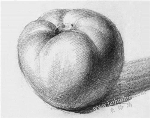 西紅柿素描畫法步驟 完成圖