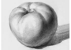西紅柿素描畫法（一）