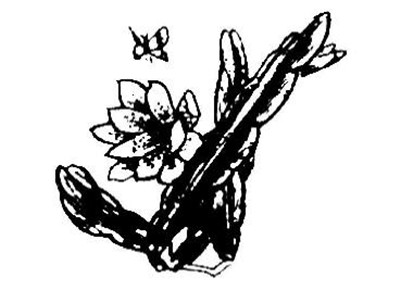 調(diào)整完成   插畫的作畫步驟四