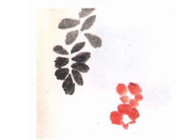 凌霄花水墨畫(huà)畫(huà)法步驟