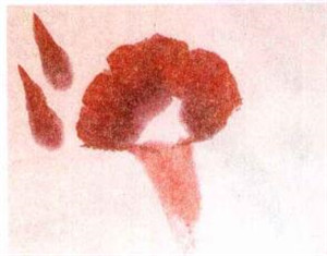 牽牛花水墨畫(huà)畫(huà)法步驟二