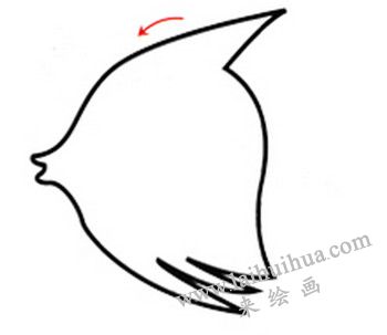 身體的畫法，熱帶魚簡筆畫畫法步驟一