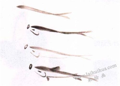 小青魚水墨畫畫法步驟