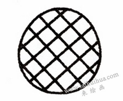 菠蘿簡筆畫畫法步驟二