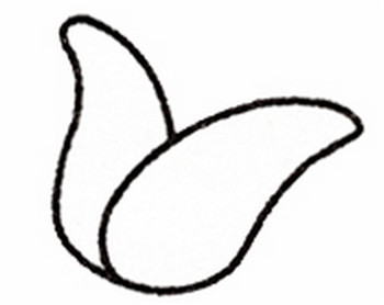 玉米簡(jiǎn)筆畫(huà)畫(huà)法步驟一