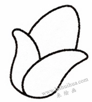 玉米簡(jiǎn)筆畫(huà)畫(huà)法步驟二