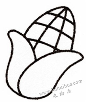 玉米簡(jiǎn)筆畫(huà)畫(huà)法步驟三
