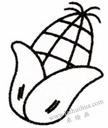 玉米簡(jiǎn)筆畫(huà)畫(huà)法步驟四