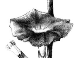 牽?；ㄋ孛璁嫹? />
</span>
</span>
</a>
</p>
<p class=