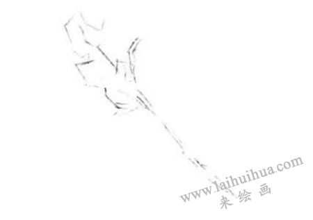 玫瑰花的輪廓，玫瑰花素描畫法步驟一