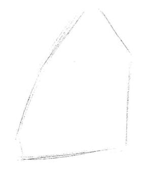 蘭花素描畫法步驟一