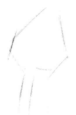 寶鐸草素描畫法步驟一