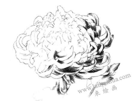 暗面，粉旭桃素描畫法步驟三