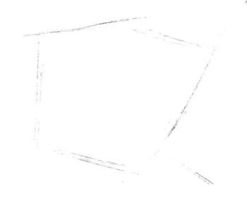 梧桐樹葉子素描畫法步驟一